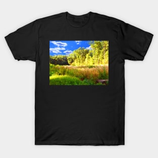 summer landscape T-Shirt